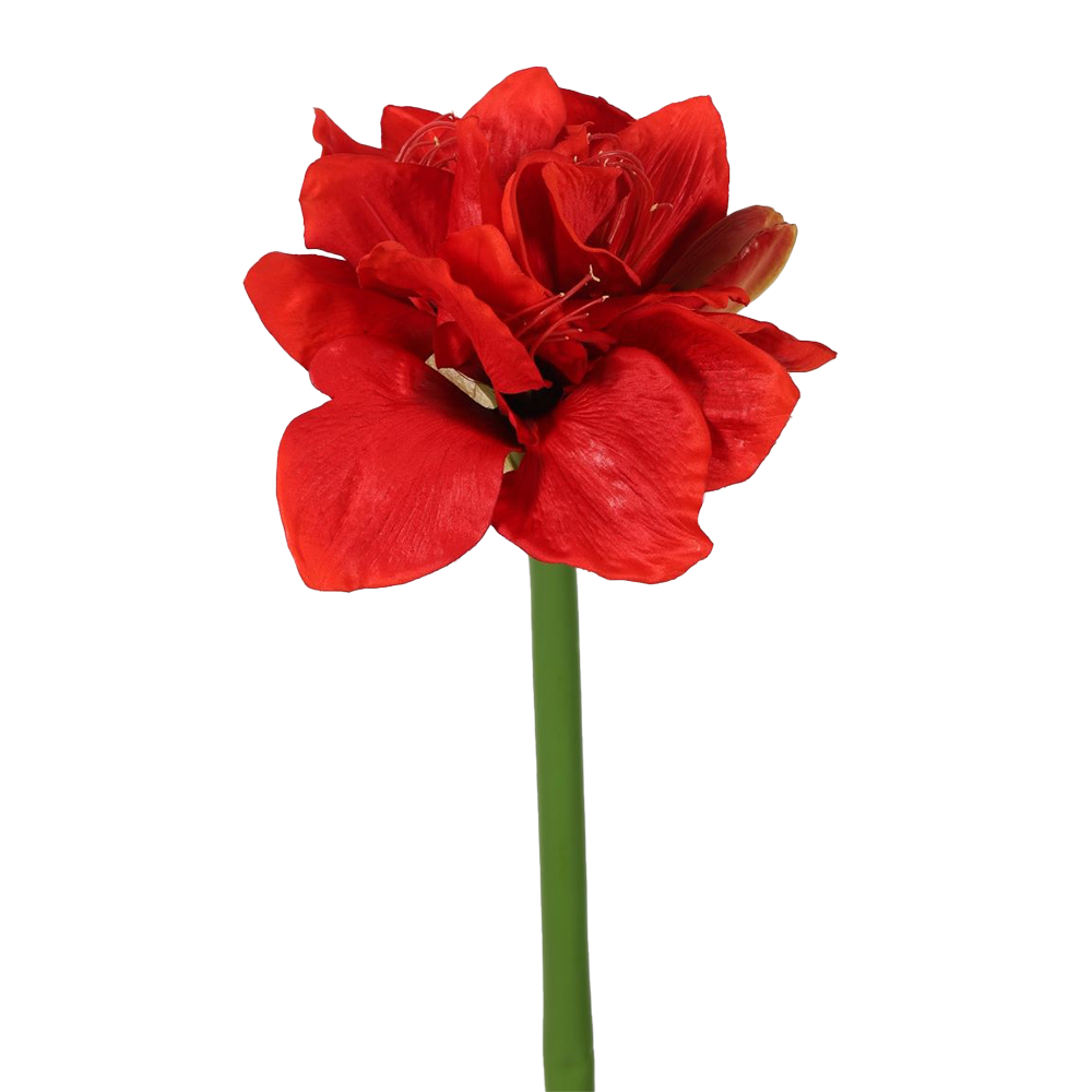 Viv! Christmas Amaryllis - silk flower - red - 71cm