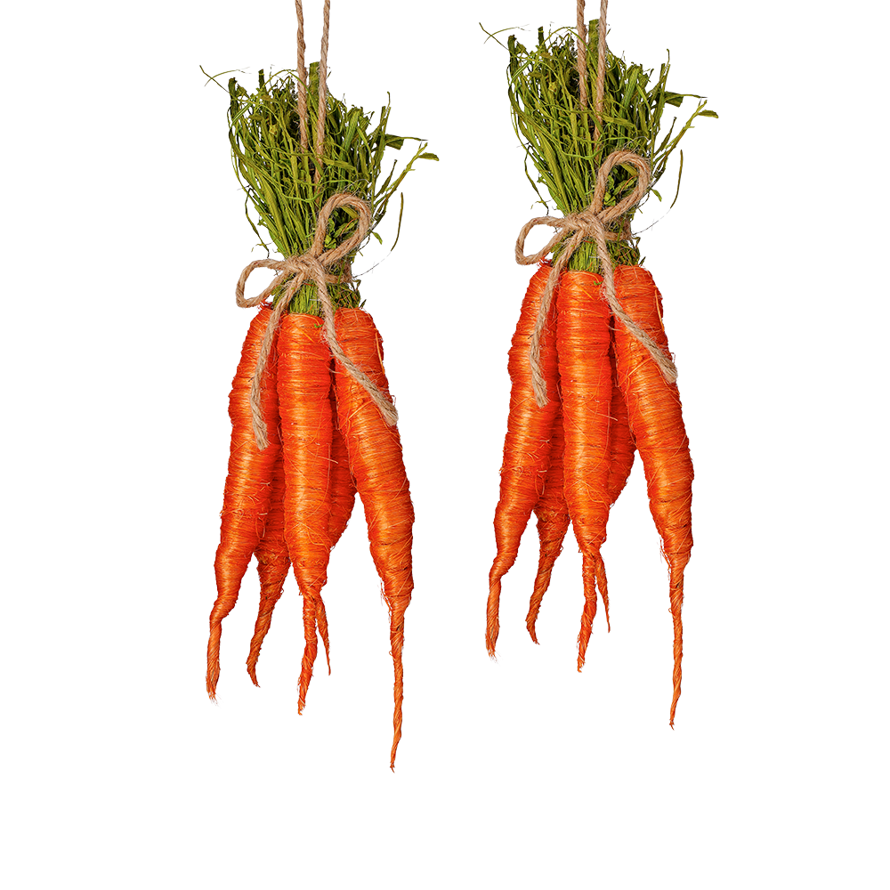 Viv! Christmas Decoración de Pascua - Ramillete de Sisal con Zanahorias x5 - set de 2 - pascua - naranja - 27cm