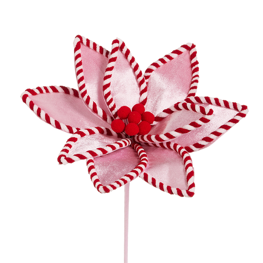 Viv! Christmas Weihnachtszweig - Pfefferminz-Weihnachtsstern - Rosa Rot - 56 cm