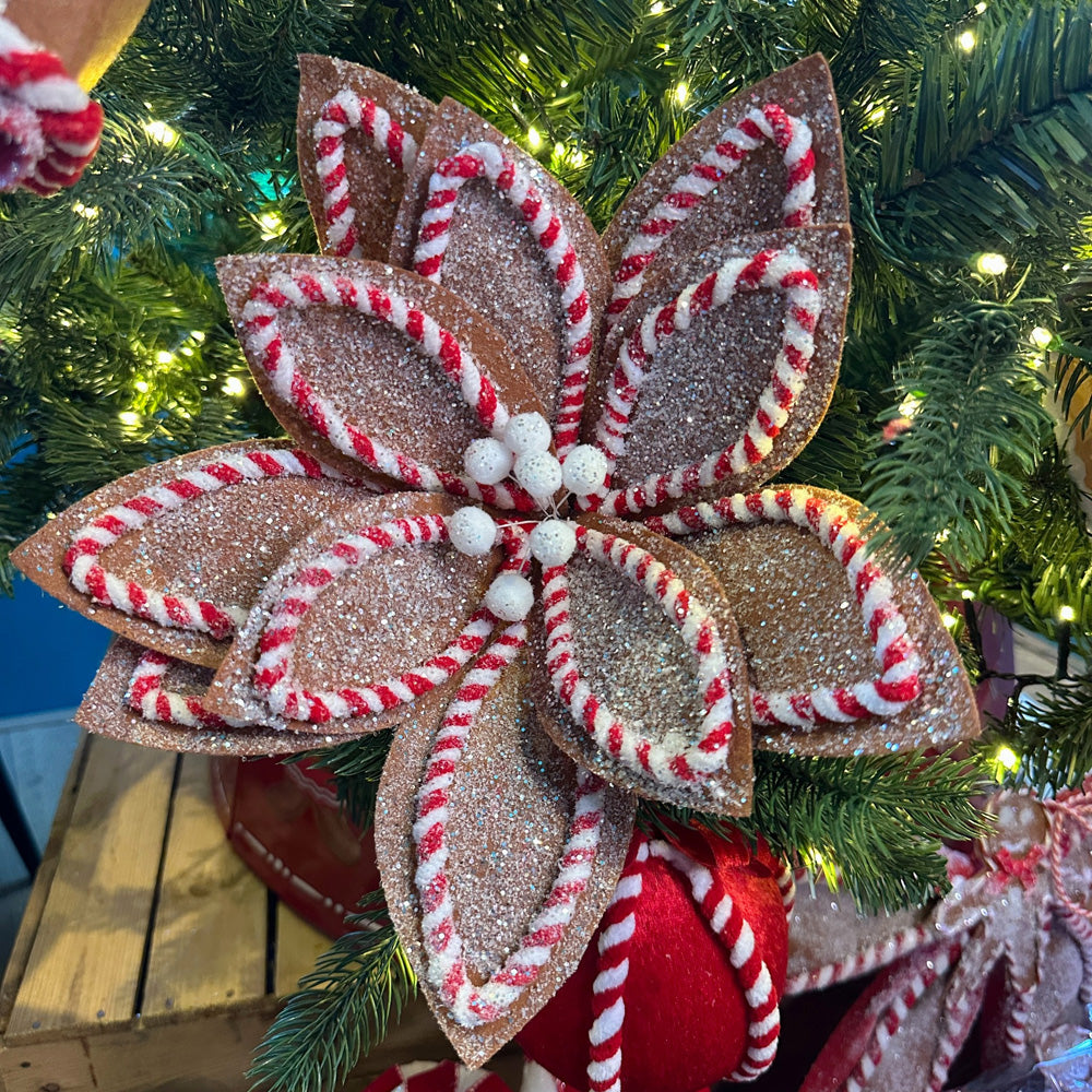 Viv! Christmas Kersttak - Gingerbread Poinsettia 'Kerstster' Bloem - bruin rood - 56cm